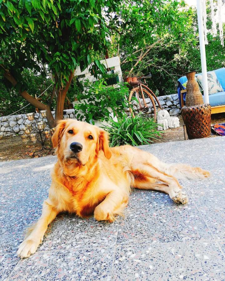 L'Onda Oda Bodrum Eksteriør billede